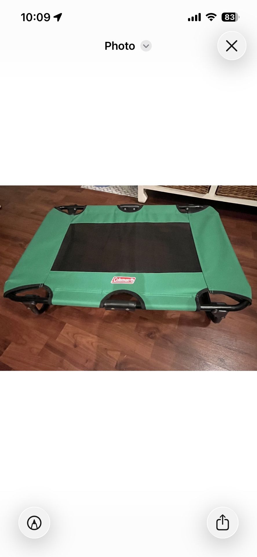 Elevated Folding Dog Cot by Coleman