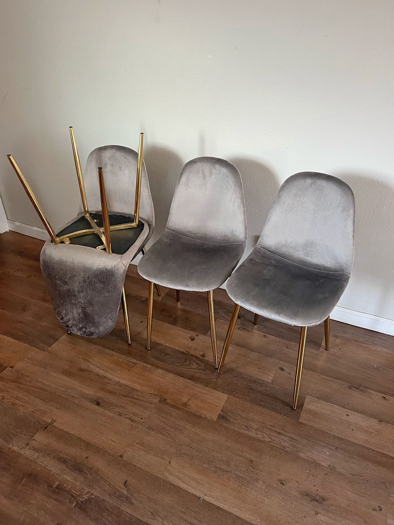 Gray Gold Modern Velvet Dining Chairs