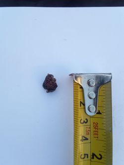 A piece of fiber