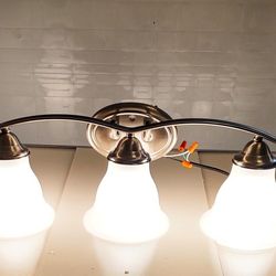 Trinity 24 in. 3-Light Brushed Nickel Bathroom Vanity Light with Glass Shades by Progress Lighting