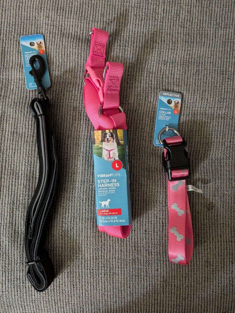 Dog Leash And Collar