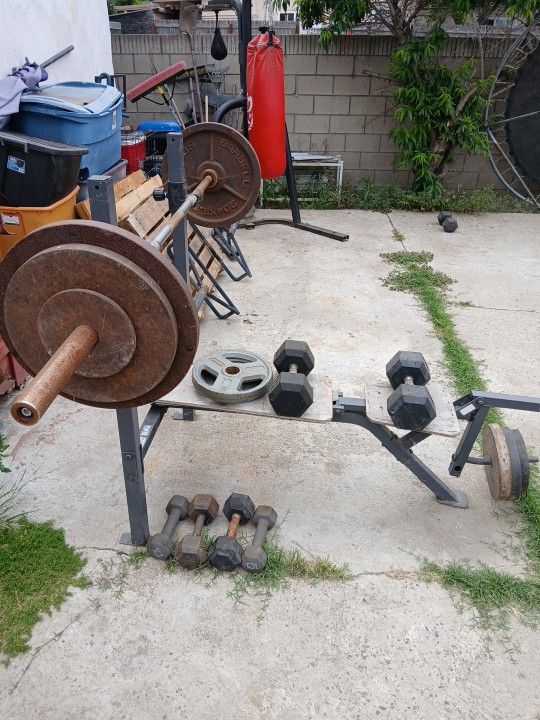 Olympic weights