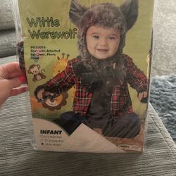 Big Bad Wolf Costume