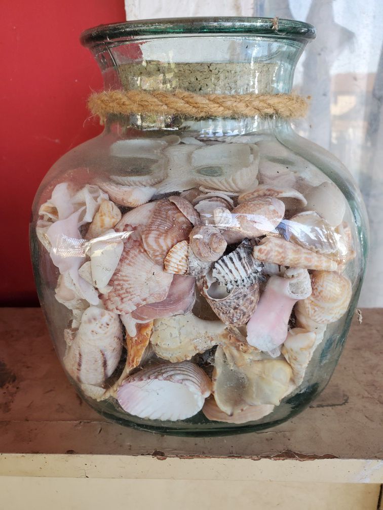 A jar of shells