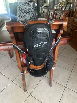 AlpineStars back brace