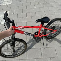 Mountain Bike — TRAYL 20 Inch Youth Bicycle