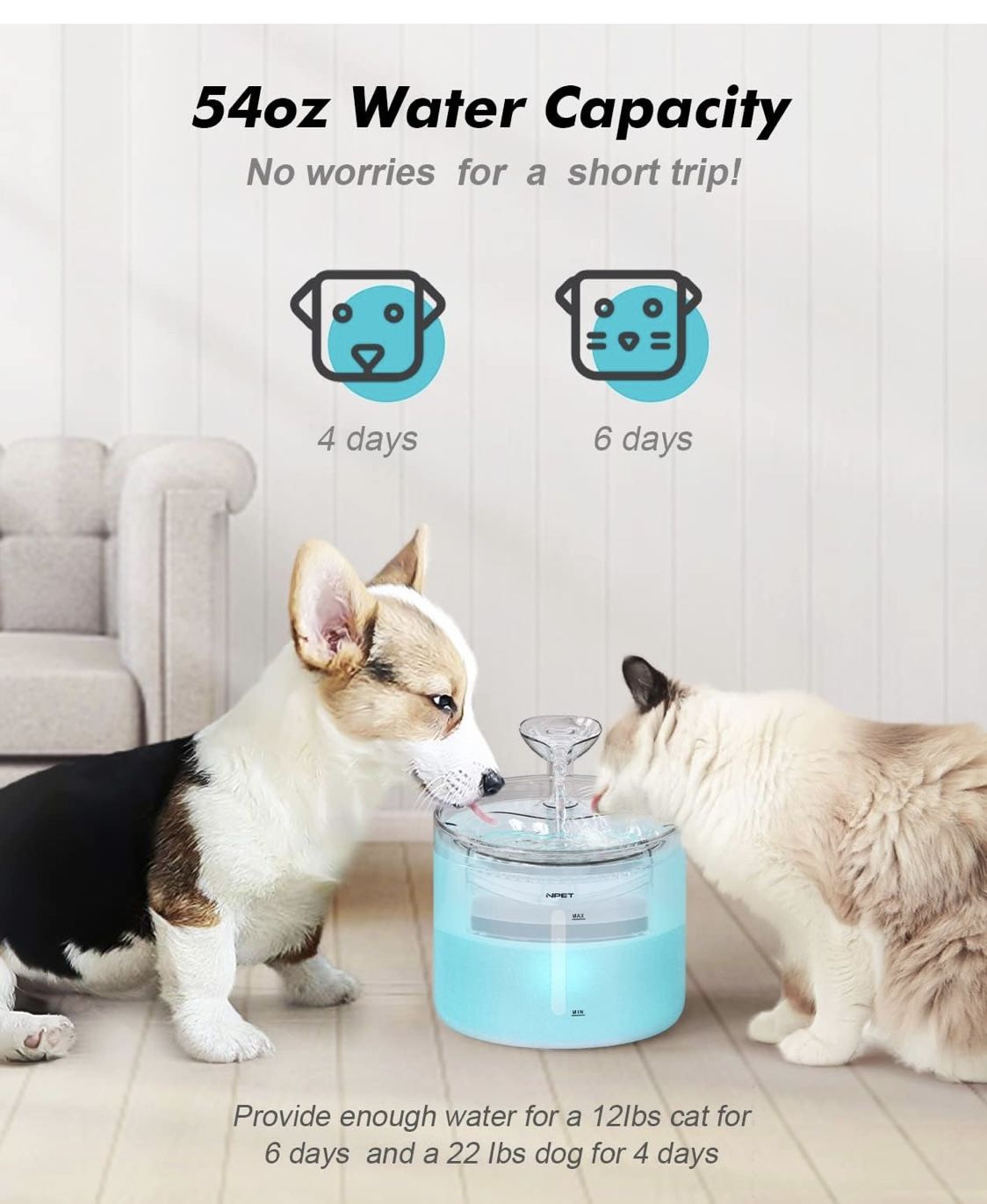 Pet Water Fountain