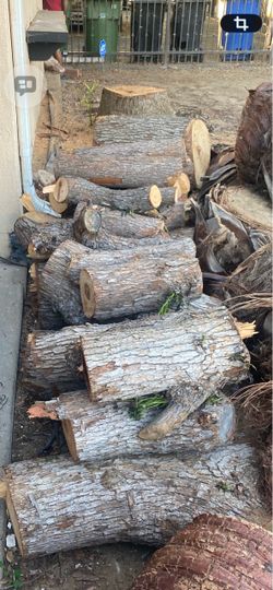 FREE Possible Oak wood for fire place or art project?