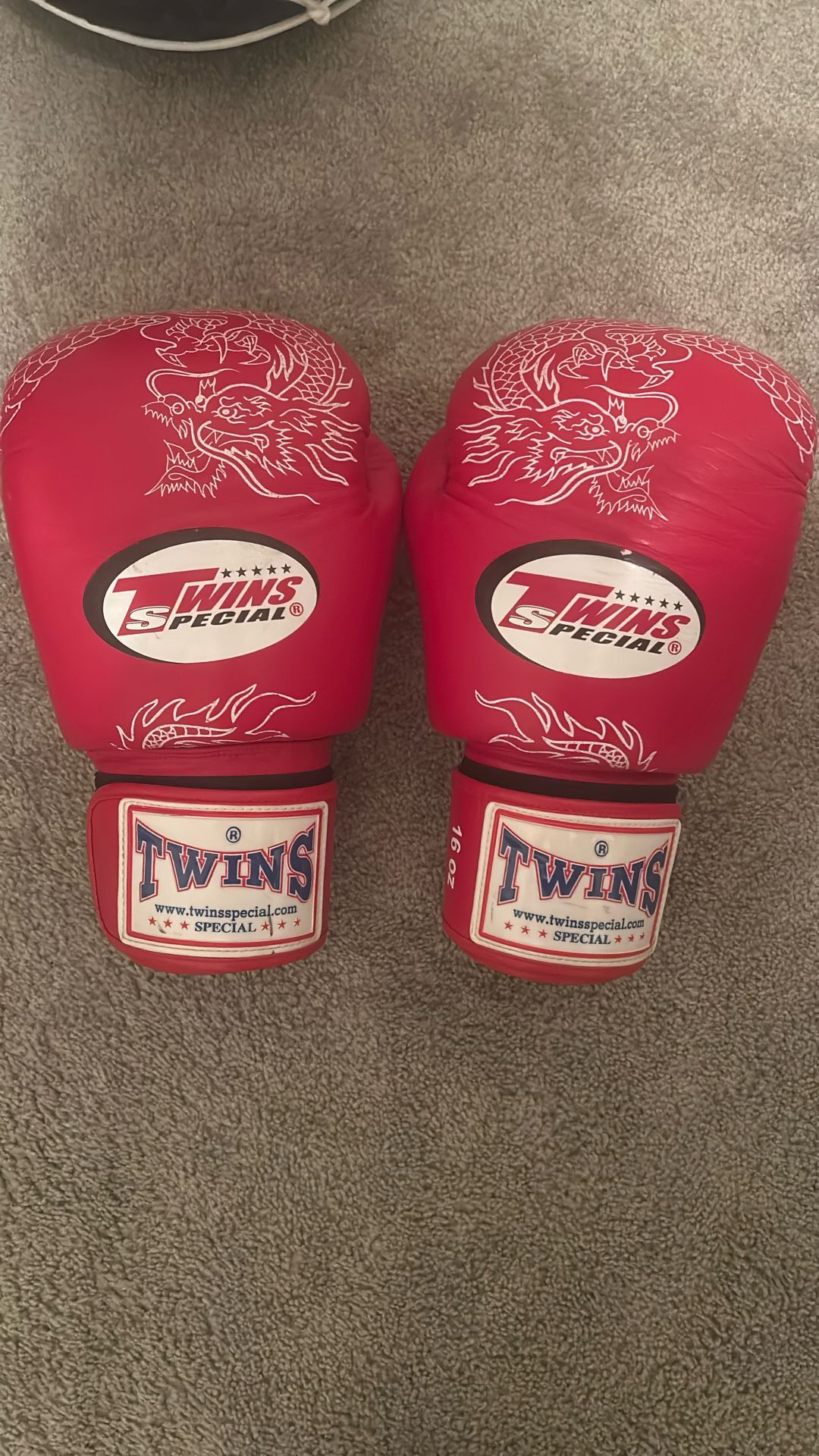 Twins Boxing Gloves