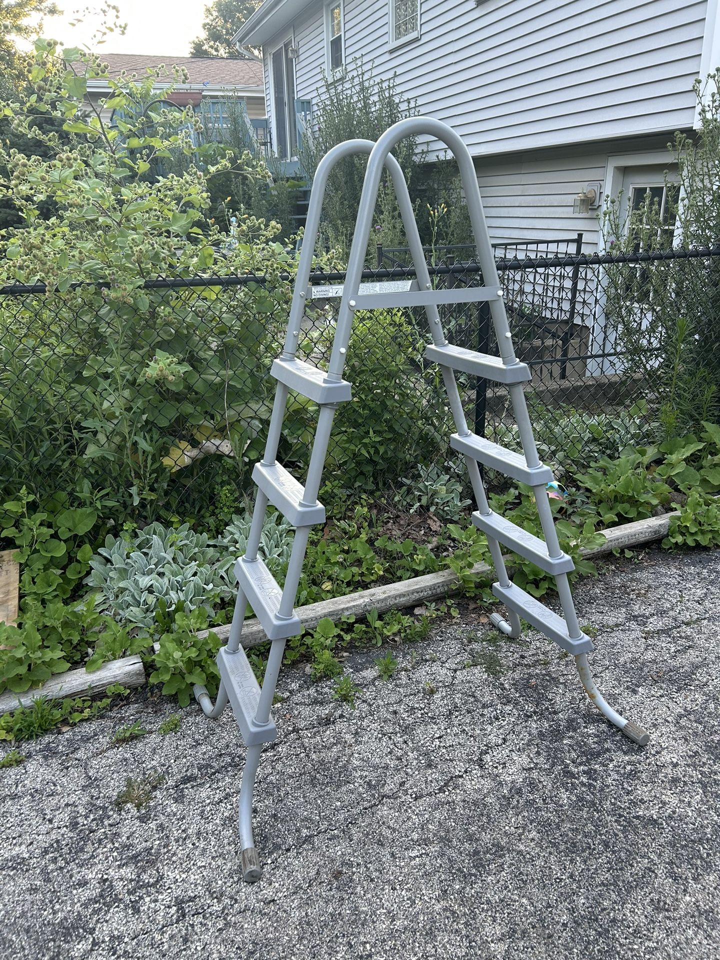 Pool Ladder