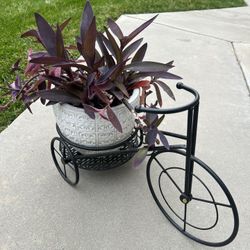 Purple heart planter with large metal bike