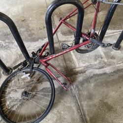 Trek verve 2