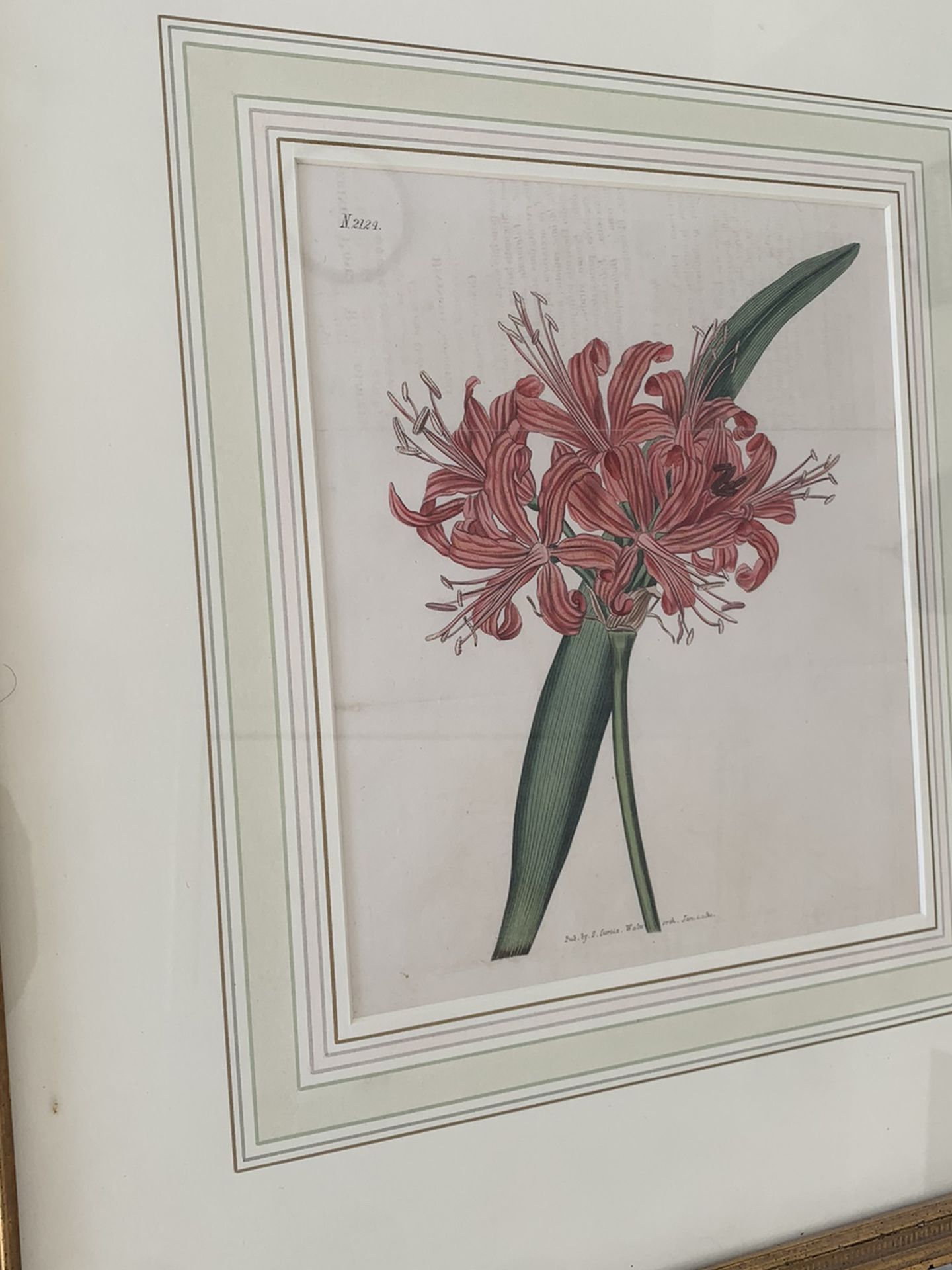 Flower Painting - Framed