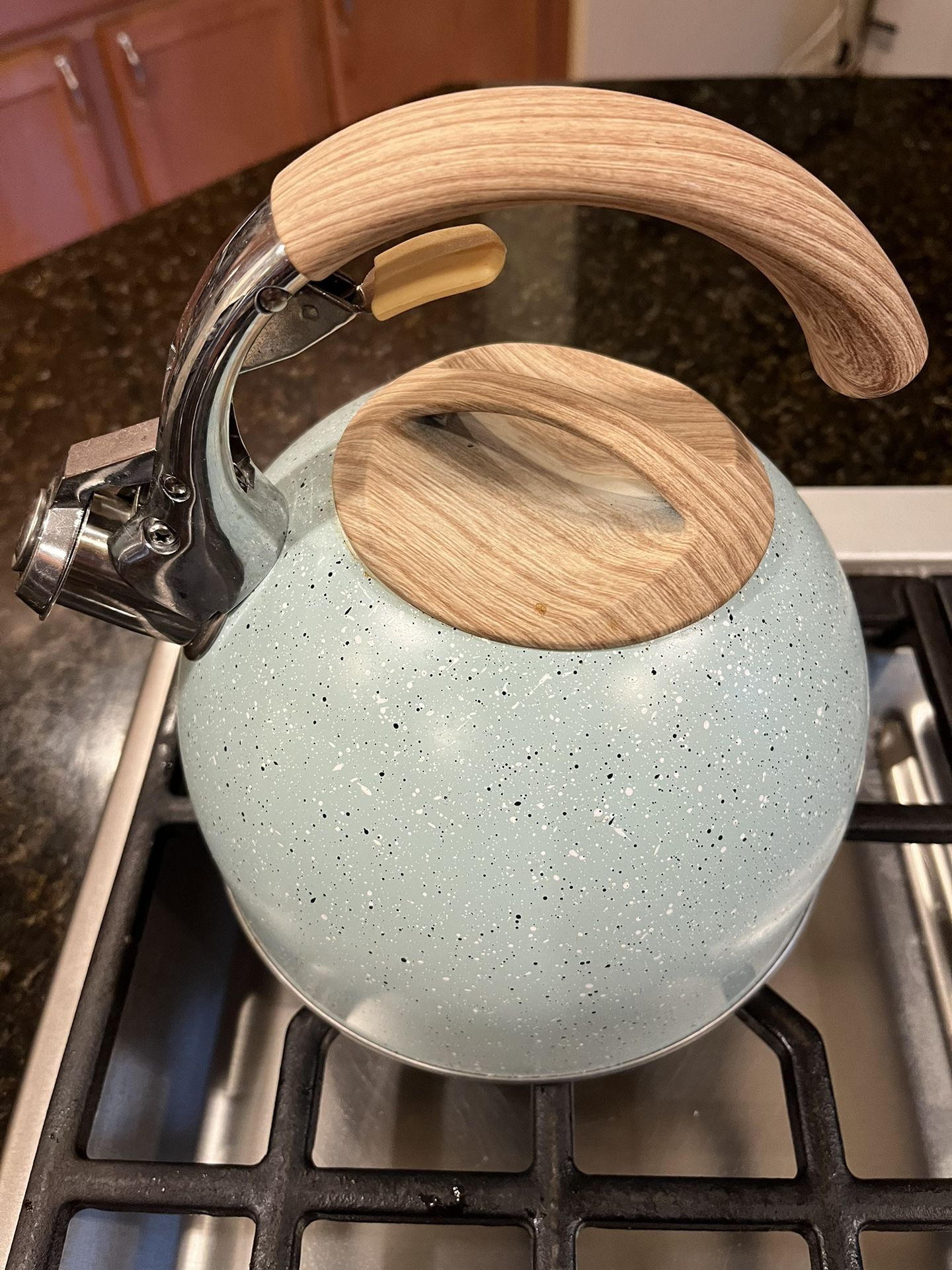 Tea Kettle