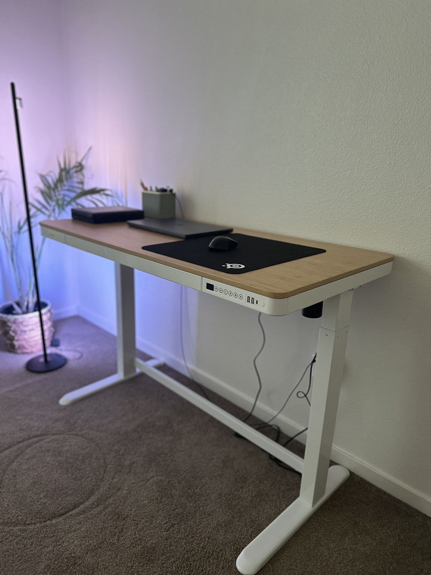Brand New! Adjustable Desk (FlexiSpot)