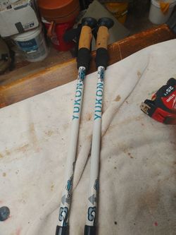 Yukon Charlie's hiking or snowshoeing poles