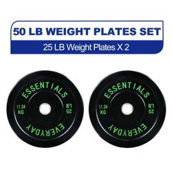 25lbs weighted plates pair