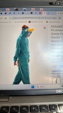 Perry the Platypus costume unisex