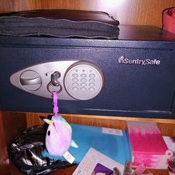 Sentry Safe 