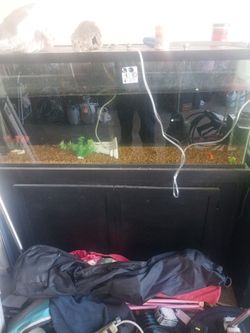 75 G Fish Tank