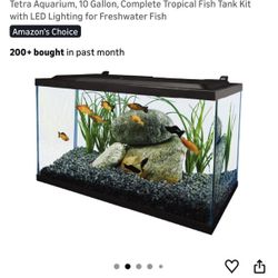 10 Gallon Fish Tank