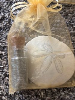 Real Sand Dollar Wedding Favors
