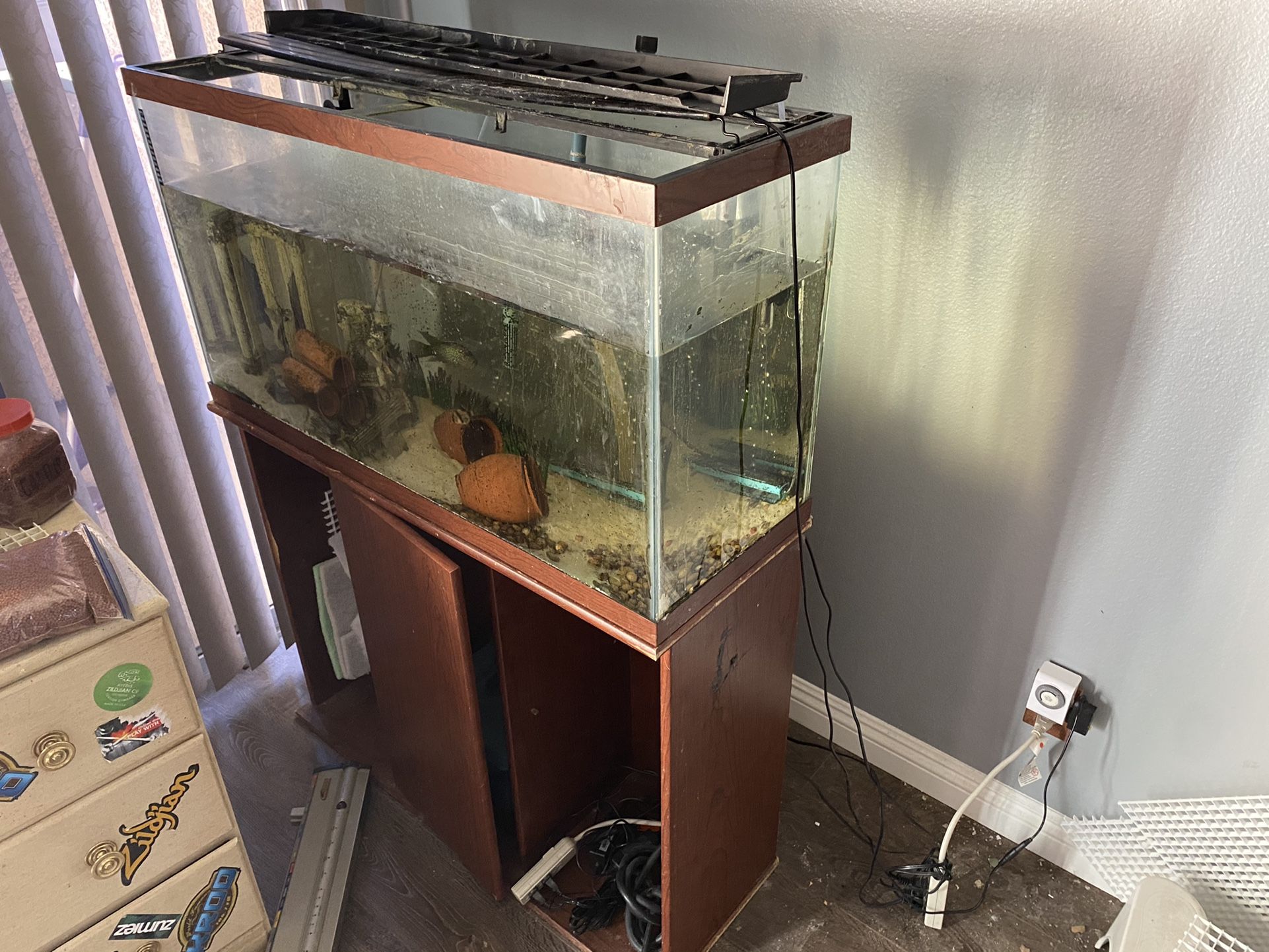 Medium Sized Fish Tank With Fish And Filter