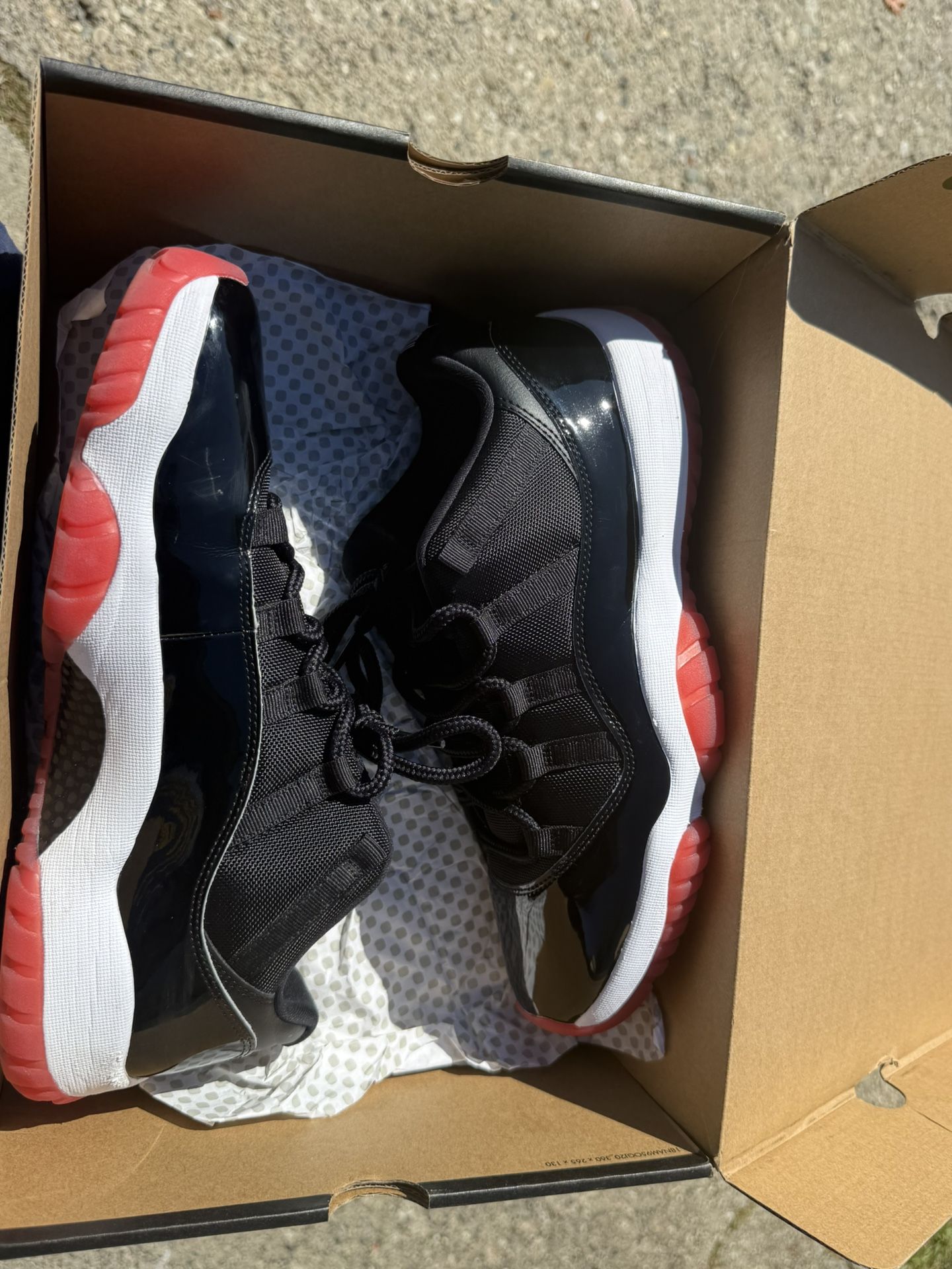 Jordan 11 Bred Size 12