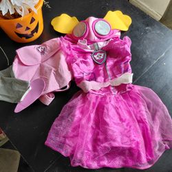 Sky Paw Patrol Halloween costume
