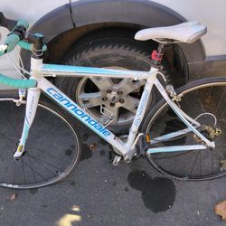 CANNONDALE SYNAPSE WOMENS BIKE