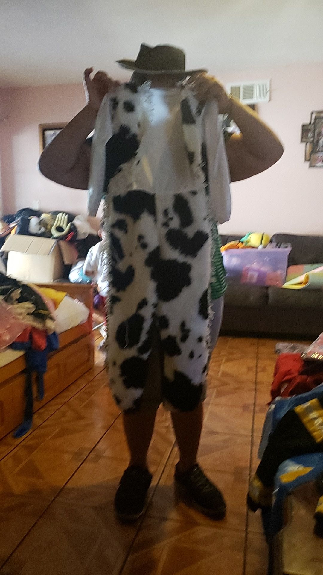 Cowboy costume