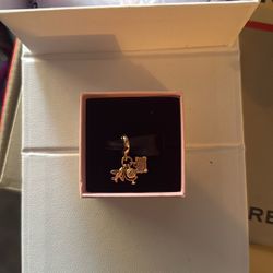 Pandora Bracelet Charm