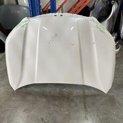 2019 - 2024 Subaru Forester Hood $