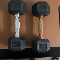 Dumbbell 10lb 