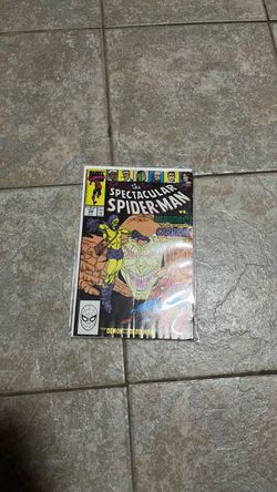 The spectacular spider man