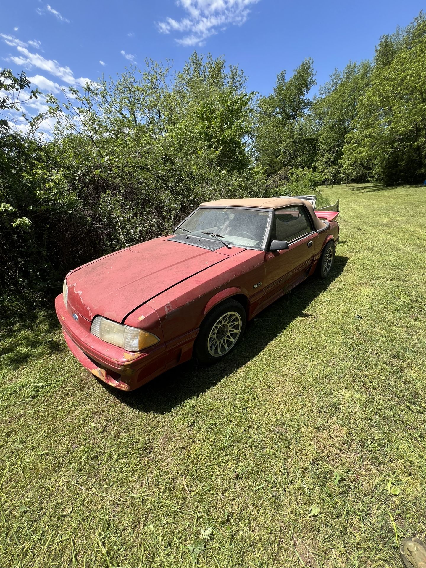 1984 Ford Mustang