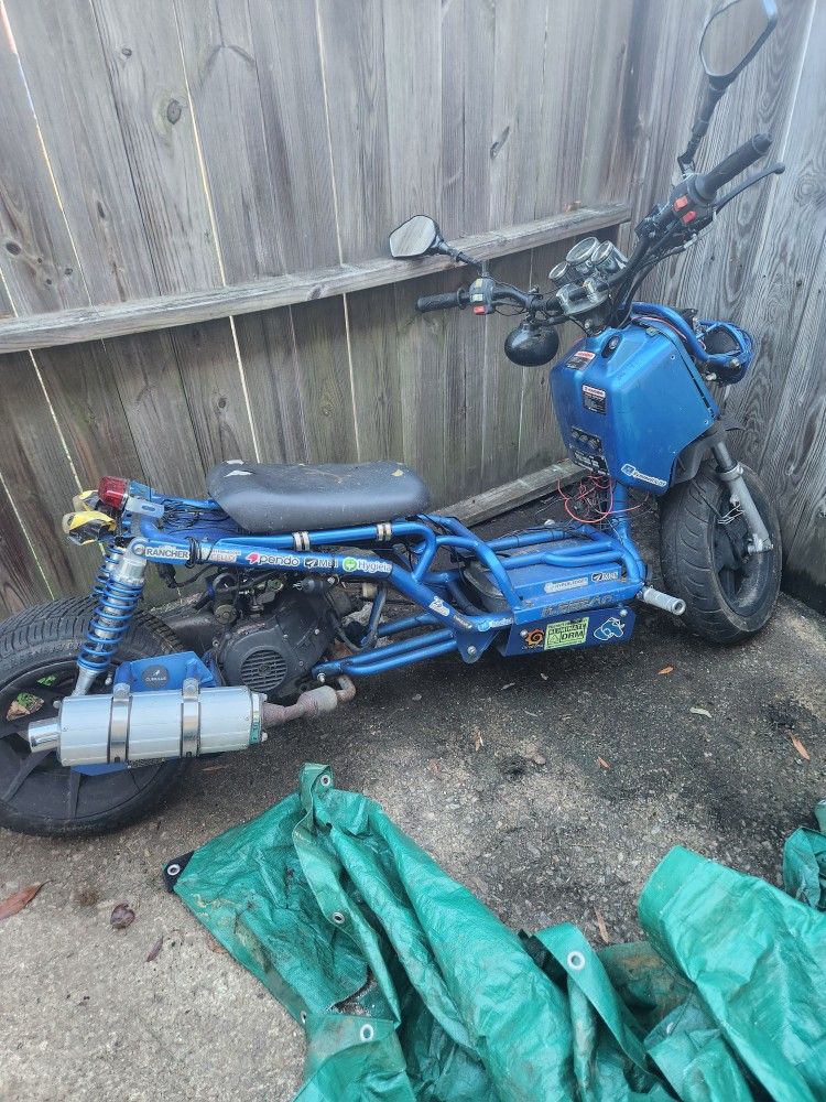 Maddog Icebear Scooter 80cc 