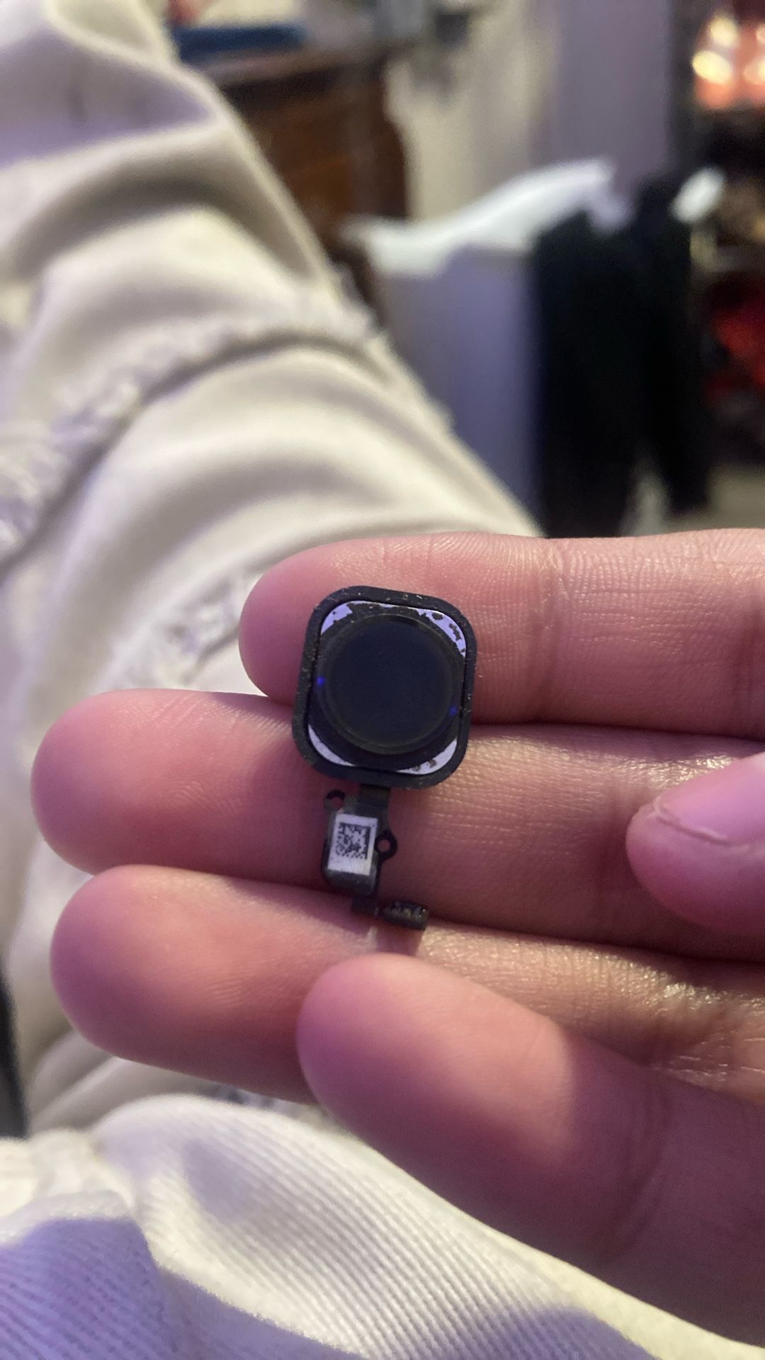 iPhone Home Button