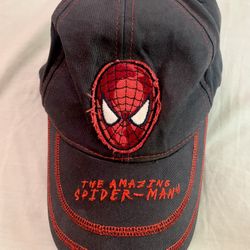 Boys Spiderman Hat