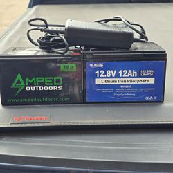 Lithium Batteries with charger.