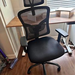 Ergonomic Office Chair (2)