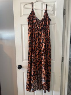 Animal Print Dress