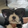 DJ