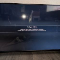 ***65"INCHES *VIZIO***