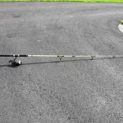 9’ Surf Rod/reel