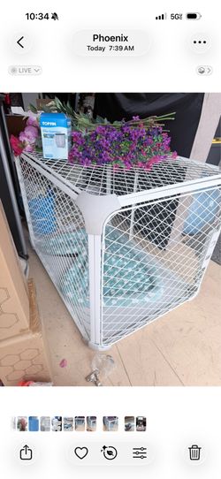 Diggs Evolving dog crate