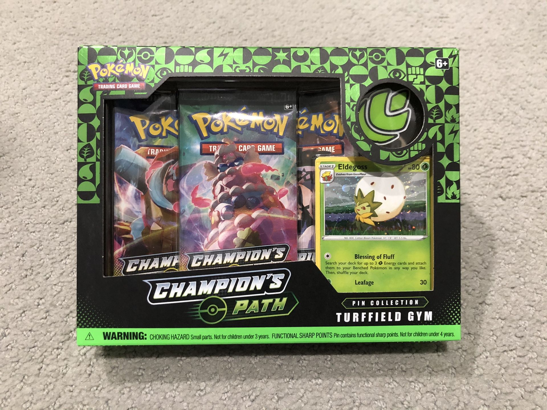 Champions Path Pokemon Turffield Gym