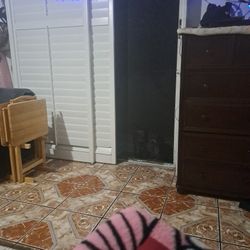 🐶Screen Door..🐶