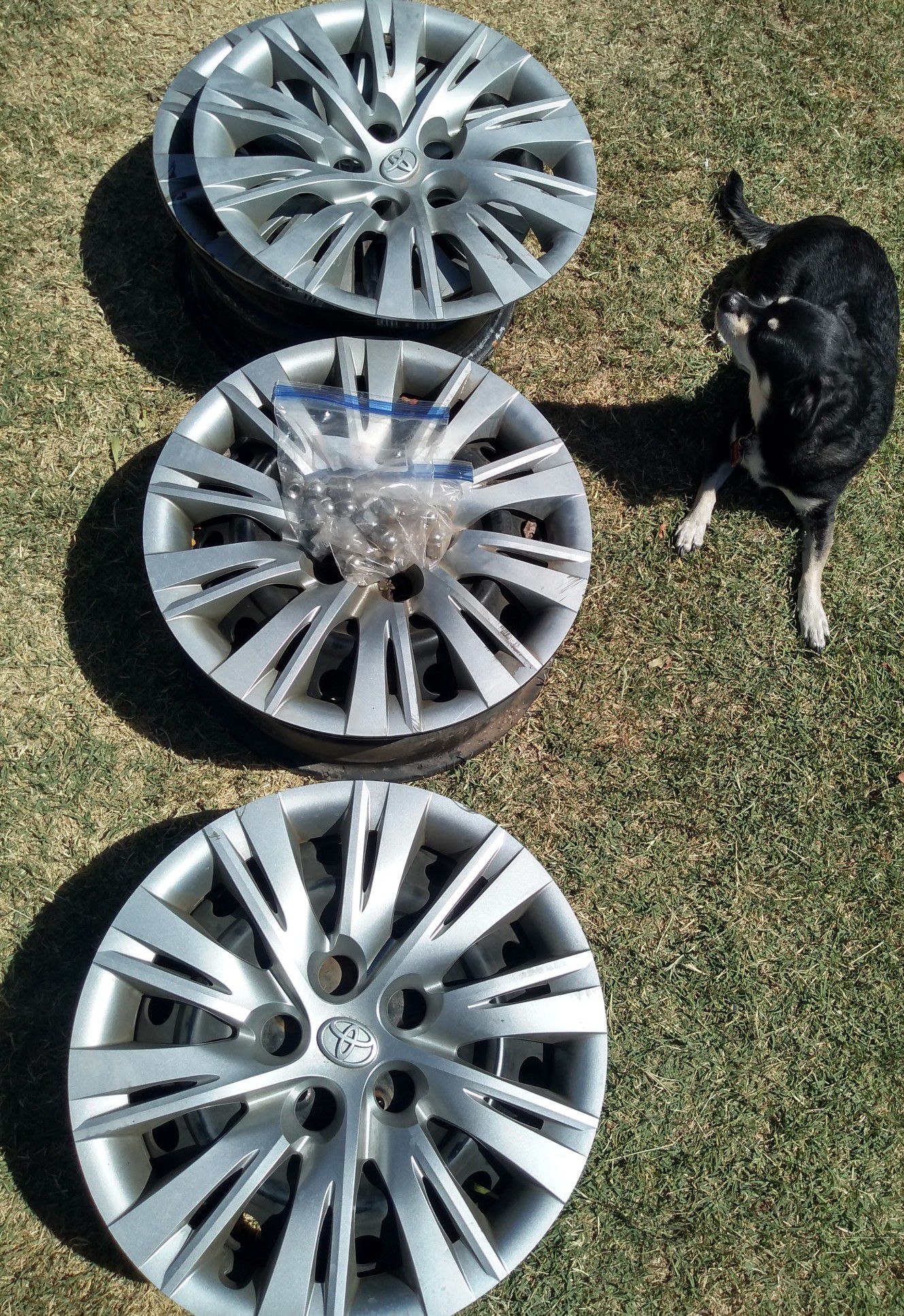 Toyota Camry wheel covers and/ or steel rims
