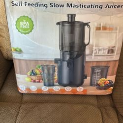 Self feeding slow, masticating juicer